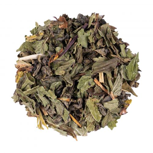 Marrakesh Nights BIO